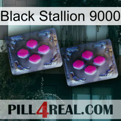 Black Stallion 9000 01